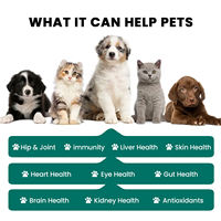 OEM ODM Friandises à mâcher pour chiens pour la santé des hanches et des articulations, soutien immunitaire avec sulfate de chondroïtine, absorption rapide pour toutes les races de chiens