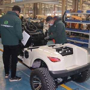 Carrito de Golf de 48 Voltios con Motor de 5kw, Buggy de Acero Resistente Estilo Antiguo, 4 Asientos, Batería de Litio, Precios Económicos, 6 Asientos, Importado - Product Image 4