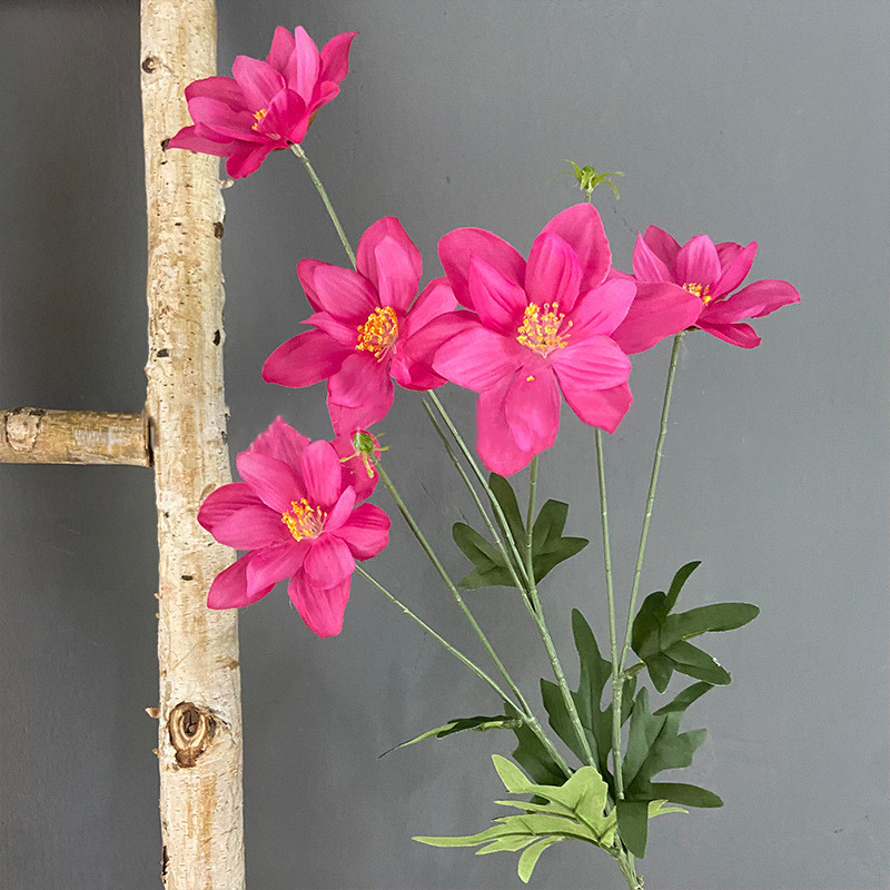 #11 chaude Rose fleur