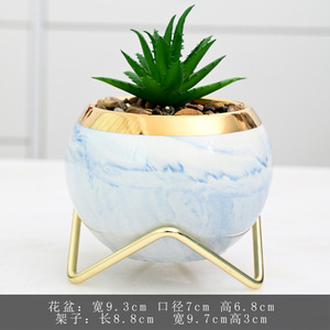 Maceta de Cerámica Mini para Suculentas <span class=keywords><strong>con</strong></span> Diseño de Dibujos Animados HY, Macetas para <span class=keywords><strong>Cactus</strong></span> y Plantas <span class=keywords><strong>con</strong></span> Soporte Metálico, Patrón de Mármol Sintético, Decoración de Escritorio y Suelo - Product Image 5