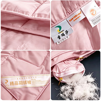 Couette d'été en duvet de canard blanc pour hôtels, taille double, moelleuse, respirante, anti-duvet, hypoallergénique, vente en gros, directement de l'usine, OEM ODM