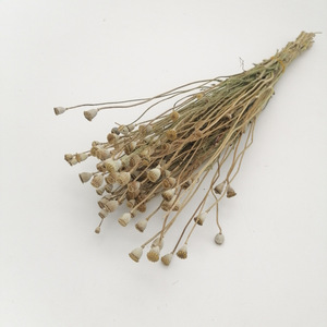 Fleurs et plantes décoratives en gros, pavot de la vallée séché, pavot de la vallée séché, bouquets de fleurs conservées, décoration de mariage, décoration de la maison, cadeau - Product Image 1