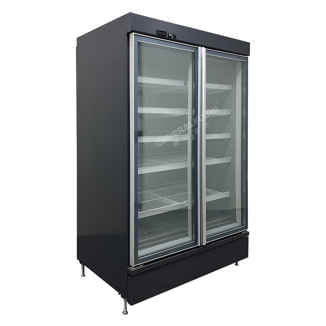 Remote Slim Glass Door Freezer for Refrigeration Equipment Refrigerator for Supermarket Ice Cream Freezer Frozen Food Freezer