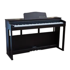 Hailun H600 منتج جديد بيانو كهربائي من الفولاذ أنيق لمحبي الموسيقى