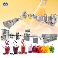 Ligne de production et de transformation de jus de fruits complète et automatique pour mangues et pastèques, équipement naturel fabriqué en Chine