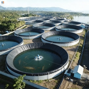แผ่นรองบ่อ<span class=keywords><strong>ปลา</strong></span>ทิลาเปีย HDPE Geomembrane หนา 1 มม. สำหรับขาย - Product Image 2