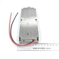 QHXK- GF-100W-5700-5800 Módulo Anti-FPV para Drones DJI, el Más Vendido y Duradero - Módulo de Defensa de Señal para Drones, Detector de Señales