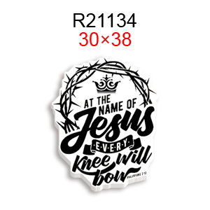 R21134