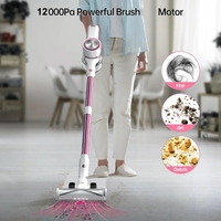 Aspirateur sans fil puissant pour poils d'animaux, tapis et sols durs, avec écran LED et brosse anti-emmêlement, pour la maison et l'hôtel