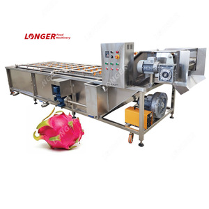 Hot Sale Wolfberry Cleaning Banana Cleaner Dragon Fruit Washing Machine