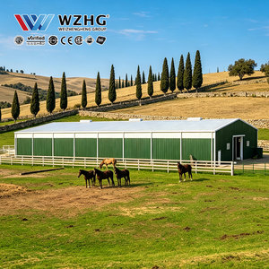 Grande structure en acier pour arène d'équitation avec dimensions de construction personnalisées et design intérieur à portée libre - Product Image 1
