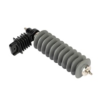 Parafoudre polymère CHHP 24 kV à boîtier métallique (certifié KEMA, norme IEC) avec garantie de 24 mois pour la protection contre la foudre et la mise à la terre