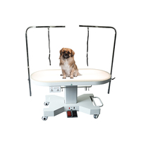 Table de toilettage électrique professionnelle pour animaux de compagnie avec lumière LED, plateau ovale et commande par pédale pour salon de toilettage canin et félin