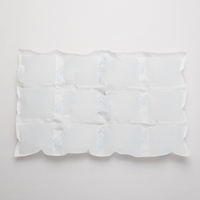 BAOLUN Packs de glace sèche pour expédition d'aliments surgelés Feuille de pack de glace auto-absorbante
