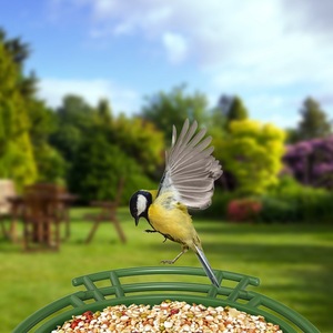 Mangeoire à <span class=keywords><strong>oiseaux</strong></span> intelligente Oniya en résine avec caméra, alimentation solaire, identification IA, vidéo HD 3MP, conception résistante aux intempéries, nichoir extérieur - Product Image 5