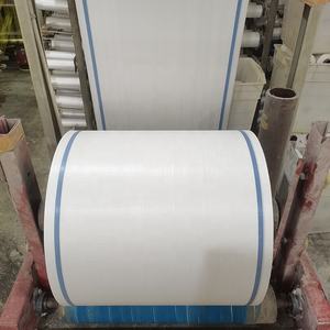 中国制造商聚丙烯机织织物卷袋袋用聚机织卷 - Product Image 6