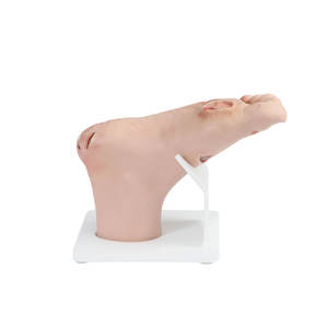 DARHMMY Alat Bantu Pengajaran Manekin Pencegahan Penyakit Kaki Diabetik - Model Gejala Ringan (PVC) untuk Pendidikan Pengasuh & Perawat - Product Image 2