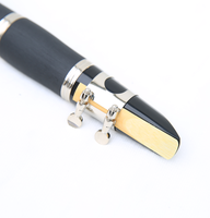 Clarinet Blackwinds 17 Keys in Bb Manufacturer Wholesale Musical Instruments Customisable logo
