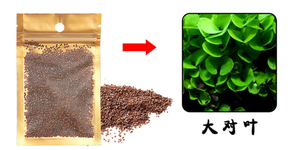 Simulatie Kunstmatige Zeebodem Simulatie Coral Landschap Fish Simulatie Van Coral Aquarium Coral - Product Image 3