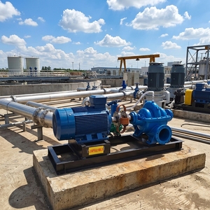 Pompe à corps divisé haute efficacité pour le contrôle des inondations fluviales, la circulation des zones humides et le drainage des zones agricoles, double aspiration, série HS - Product Image 1