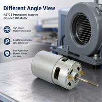 Moteur de soufflerie DX RS775 12V 24V à aimant permanent, moteur CC à balais 21000 tr/min pour soufflerie industrielle et entraînement d'équipements domestiques