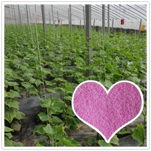คริสตัลสีชมพูผง <span class=keywords><strong>NPK</strong></span> <span class=keywords><strong>19-19-19</strong></span> Agri ปุ๋ย - Product Image 4