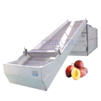 Équipement de séchage professionnel OEM pour la transformation des prunes, séchage des fruits, sécheuse à bande continue en maille