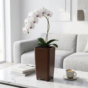 Décoration de jardin moderne et minimaliste, pot de fleurs pour orchidées, à poser au sol, intérieur/extérieur, en PP, avec trou de drainage, durable, léger, 5 - Product Image 2