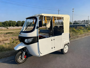 Triciclo Elettrico EEC con Tettuccio per Passeggeri, Tuk-Tuk per Brevi Distanze, Triciclo per Tour Turistici e Panoramiche - Product Image 5