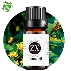 100% Murni dan Alami Laurel Berry Minyak Laurel Minyak Biji untuk Perawatan Kulit dan Membuat Sabun Massal