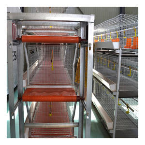 Allevamento familiare uso zincato strato vivo <span class=keywords><strong>gallina</strong></span> pollame <span class=keywords><strong>pollo</strong></span> <span class=keywords><strong>gallo</strong></span> gabbia casa - Product Image 6