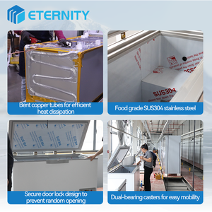 Congelatore a Shock ad Alte Prestazioni da 158L, 248L, 308L per Gelaterie e Negozi di Gelato - Product Image 5