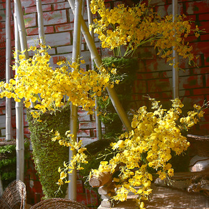 Bouquet d'orchidées artificielles Yihua Floral Art, fleurs en soie, décoration pour la maison, décoration de salon - Product Image 1