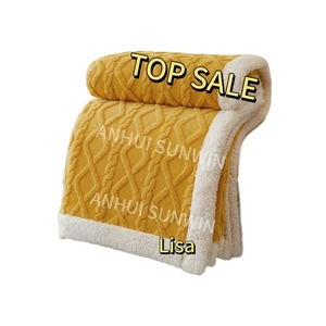 Manta de forro polar de Sherpa de 2 capas personalizada, manta de Sherpa suave de piel fluida bordada con logotipo personalizado para Festival, regalo de Navidad - Product Image 4