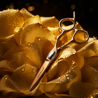 RK054 SUS 440A Ciseaux De Coupe De Cheveux En Acier Inoxydable Étudiant Ciseaux De Coiffeur Professionnels
