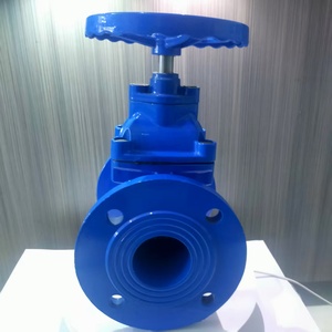 Tùy chỉnh thực hiện hướng dẫn sử dụng nước đàn hồi ghế con dấu Van cổng từ 2 inch đến 24 inch tùy chọn nrs không tăng Thân van - Product Image 4