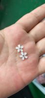 100 Breloques Mini Fleurs en Résine avec Strass, Fleurs Plates de 10 mm en Résine pour Nail Art, Décoration Artisanale DIY