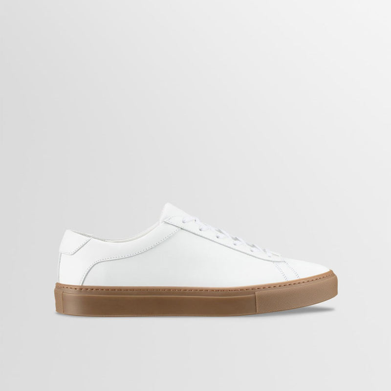 Color scheme Color 4