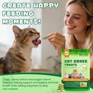 Friandises à la saveur de saumon Oimmal pour chats, emballage personnalisé, friandises poreuses pour la santé des poils, de la peau et du pelage, nourriture pour chats âgés de plus de 3 mois - Product Image 1