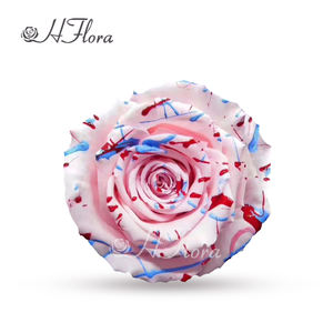 زهري رائج البيع لون وردي محفوظ رأس 7-8 قوس قزح متعدد الألوان طبيعي أزهار أبدية لتزيين الطاولة DIY - Product Image 2