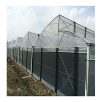 Serre agricole personnalisée à meilleur prix d'usine Serre en dents de scie en acier galvanisé à chaud de qualité supérieure pour la zone tropicale