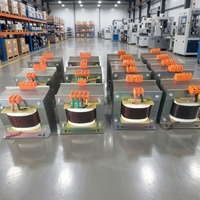 Transformador de Bajo Voltaje Serie BK Estándar de 1000VA, 220V/200V/210V a 12V/24V para Uso Industrial, con Certificación CE e ISO