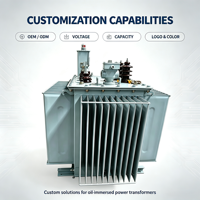 Transformateur triphasé immergé dans l'huile de type MV/HV 1000 kVA 1250 kVA 11 kV personnalisé