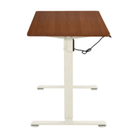 Table de bureau électrique personnalisable à levage silencieux, bureau pour ordinateur portable avec cadre en acier, bureau debout électrique réglable en hauteur