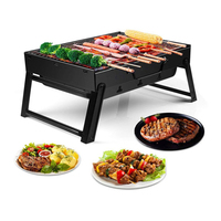 Mini barbecue portable pliable au charbon de bois pour le camping en plein air