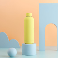 Bouteille d'eau en acier inoxydable avec peinture en caoutchouc souple 17OZ, flacon de sport à petite bouche pour lait 500ML