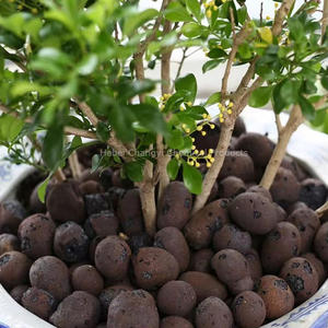 4-8mm 8-16mm Leca topları Soilless yetiştirme bahçeleri için kullanılan Hydroponic Leca hafif genişletilmiş kil toplama - Product Image 1