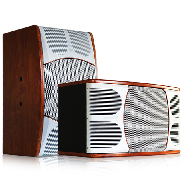 K-750 10-Inch 200W Two-Way Karaoke Audio Speaker for KTV Bars and Sound Equipment