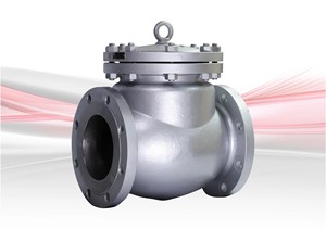 Válvula de Retención de 2 Pulgadas de Acero al Carbono Tipo C con Extremo Bridado y Cubierta Atornillada, Sellado de PTFE, Personalizable para la Industria del Petróleo y Gas - Product Image 4