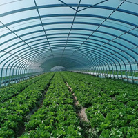 Système d'agriculture hydroponique pour la culture de fraises et de champignons, serres à simple portée, tunnel de serre en film PO/PE, fabrication OEM